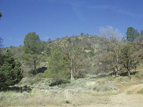 Middle of Nowhere