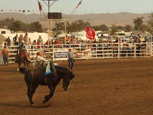 Bareback bronc riding at the rodeo