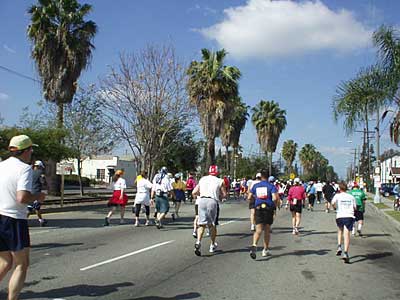 palm trees and runners