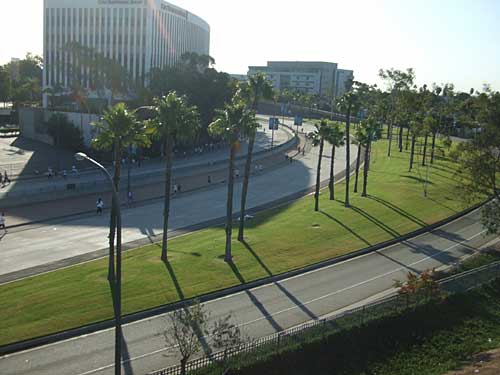 runners below on Shoreline Drive