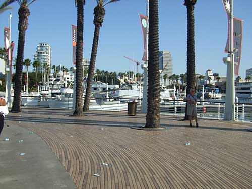 along the harbor