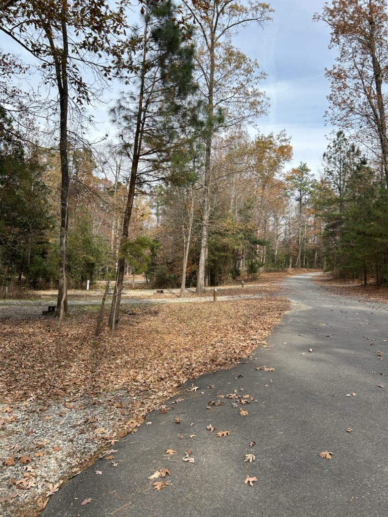A road looping through a campground, with trees along the sides and a few empty camp sites. Autumn leaves cover the ground, and the sky is blue with a few hazy clouds.