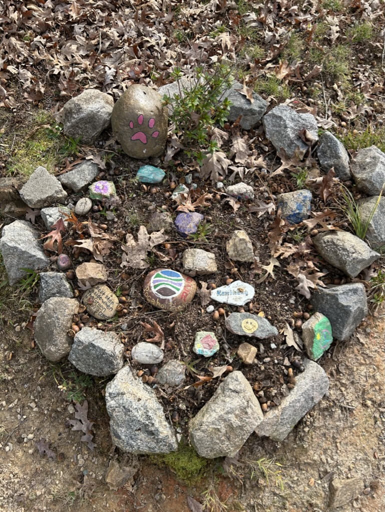 Painted rocks on the ground encircled by other rocks.