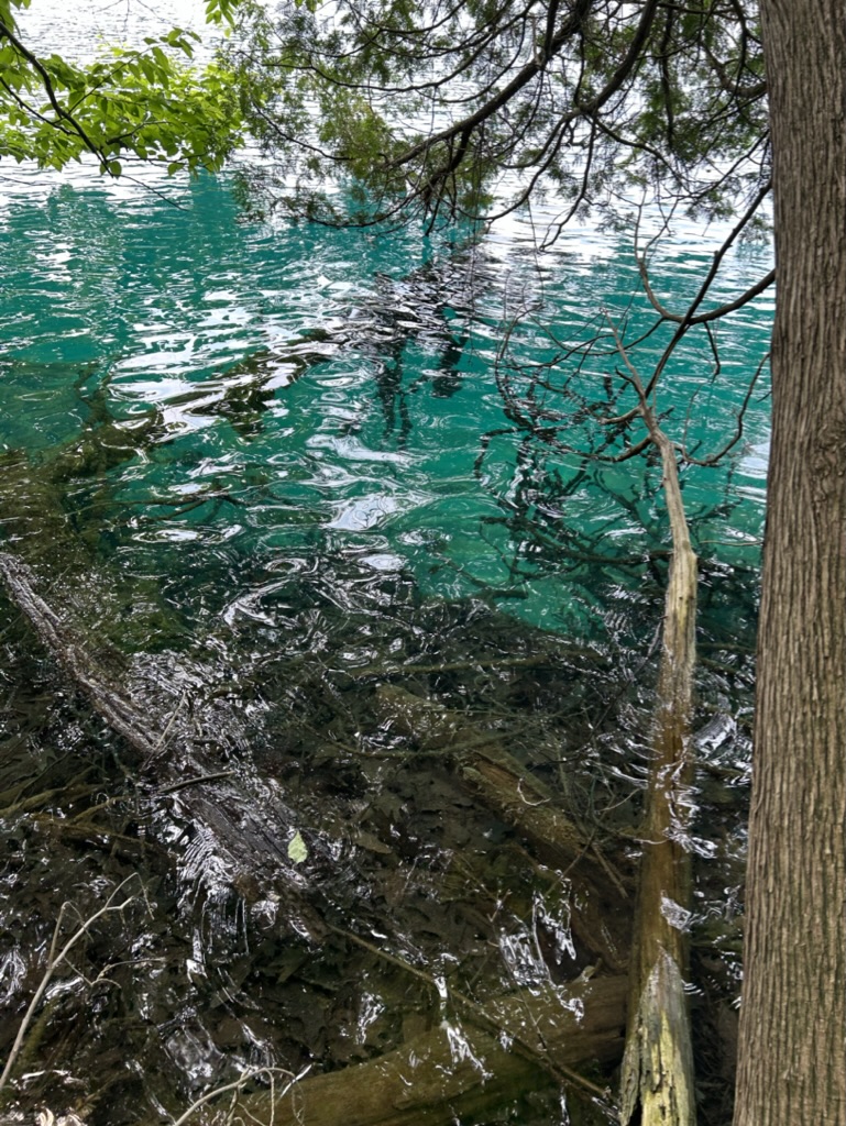 Blue water at the edge of Round Lake