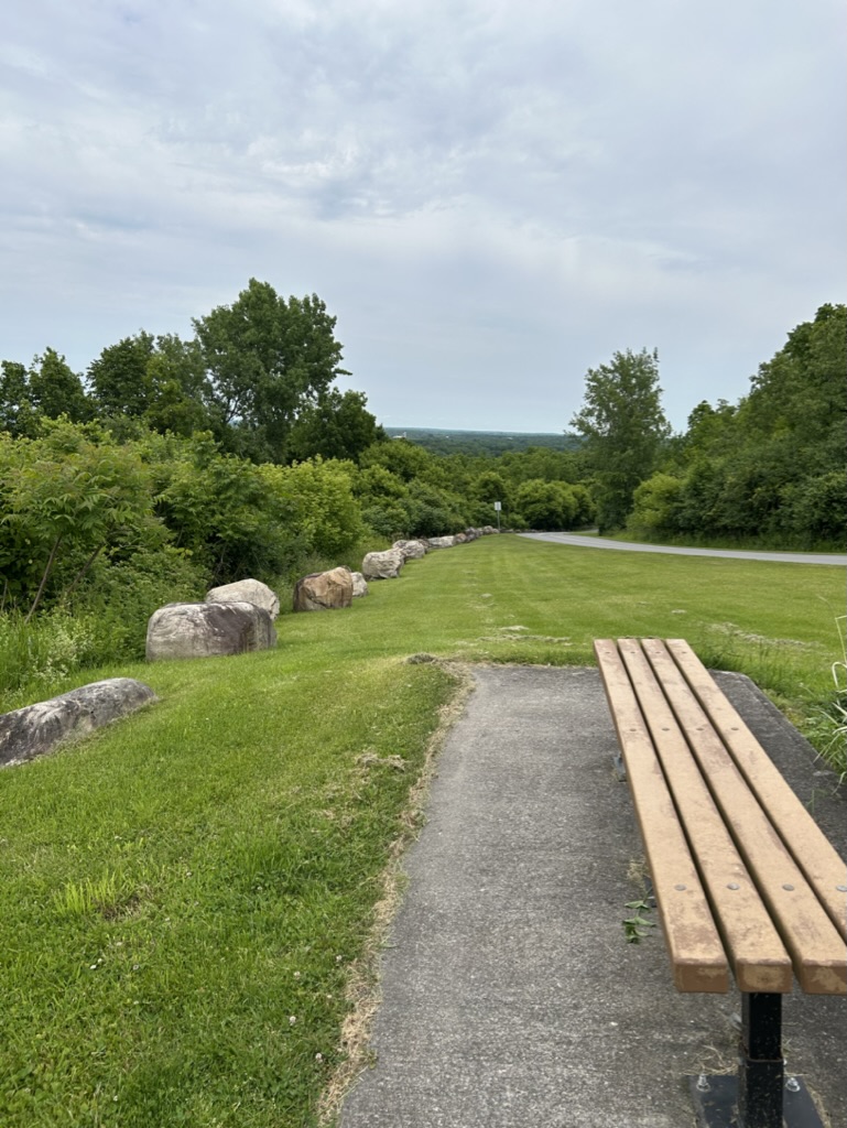 A bench in a grassy area behind some bushes marked off with boulders