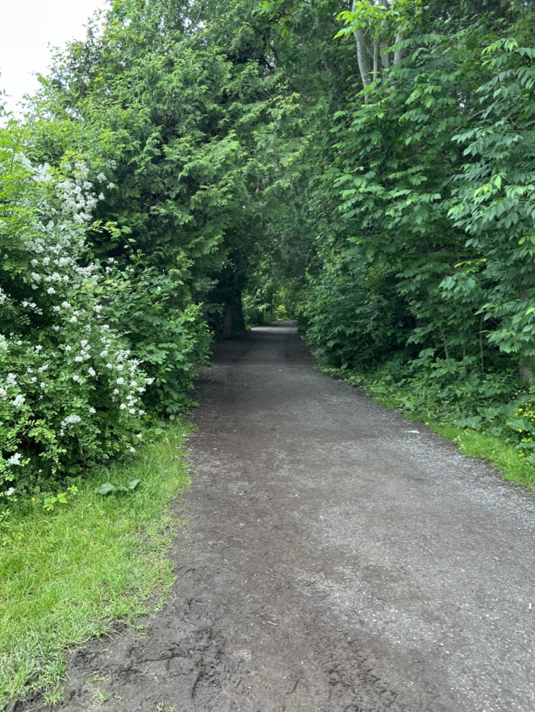 Gravel trail through the woods around Green Lake