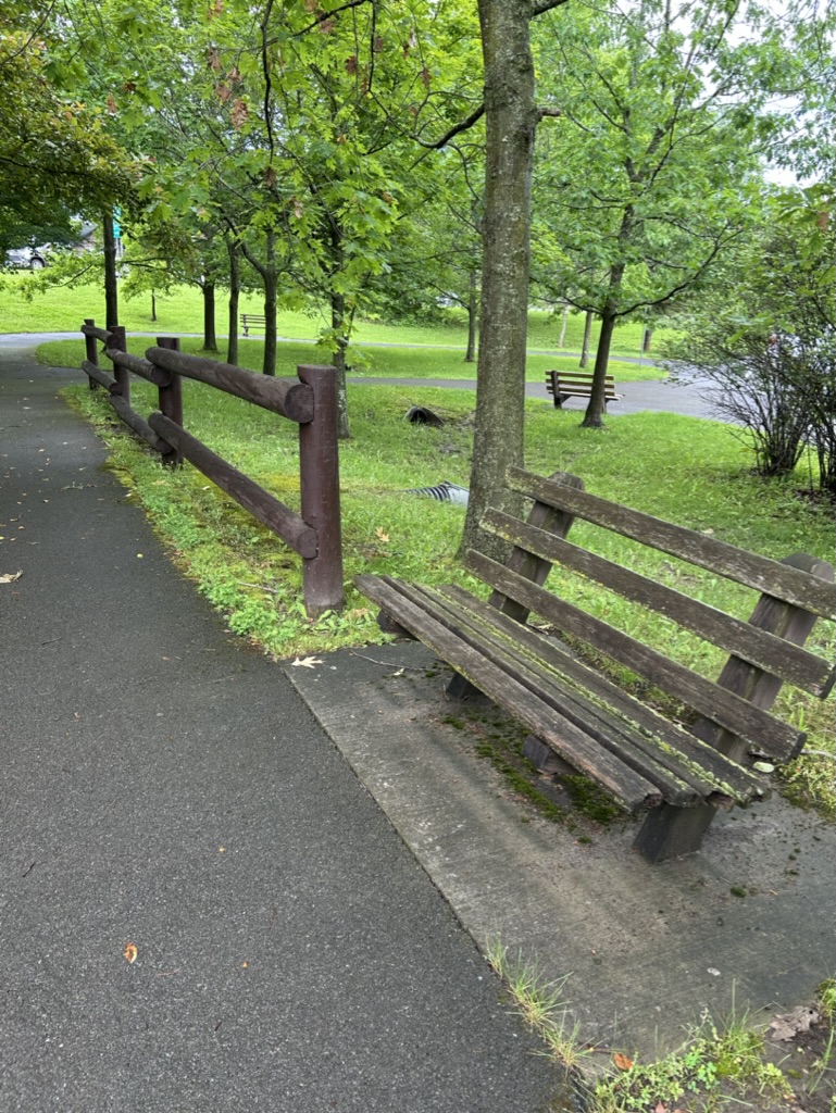 Some benches along a walkway with green grass and trees