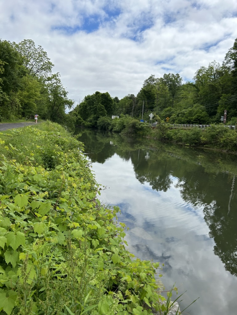 View of the Old Erie Canal, peaceful water flowing between trees and greenery