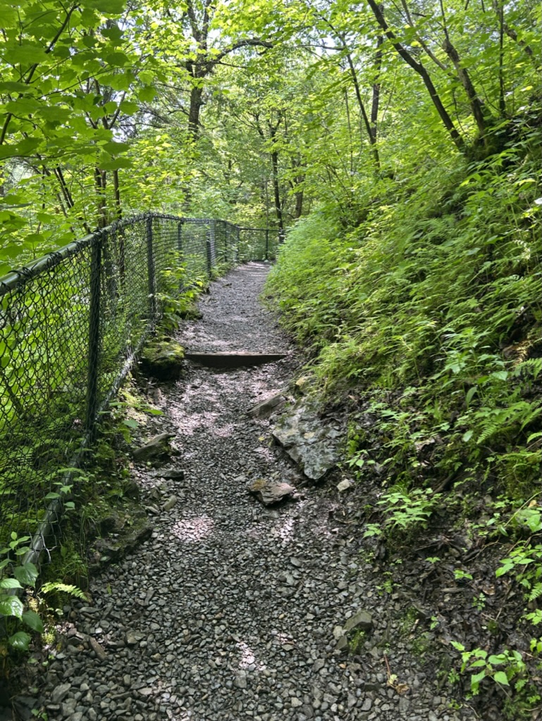 A gravel and stone trail leading down through green trees and brush. A chain link fence runs along the side.
