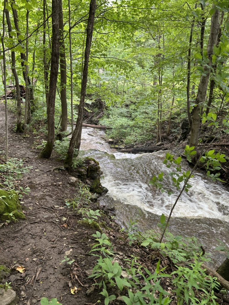 The top of a shallow waterfall, with trees surrounding it and a narrow dirt path on one side