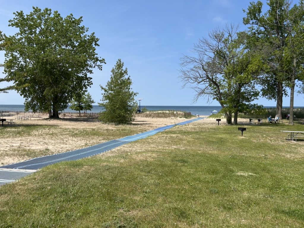 A path laid out with a fabric cover leads through partially dry grass and a few trees to a beach