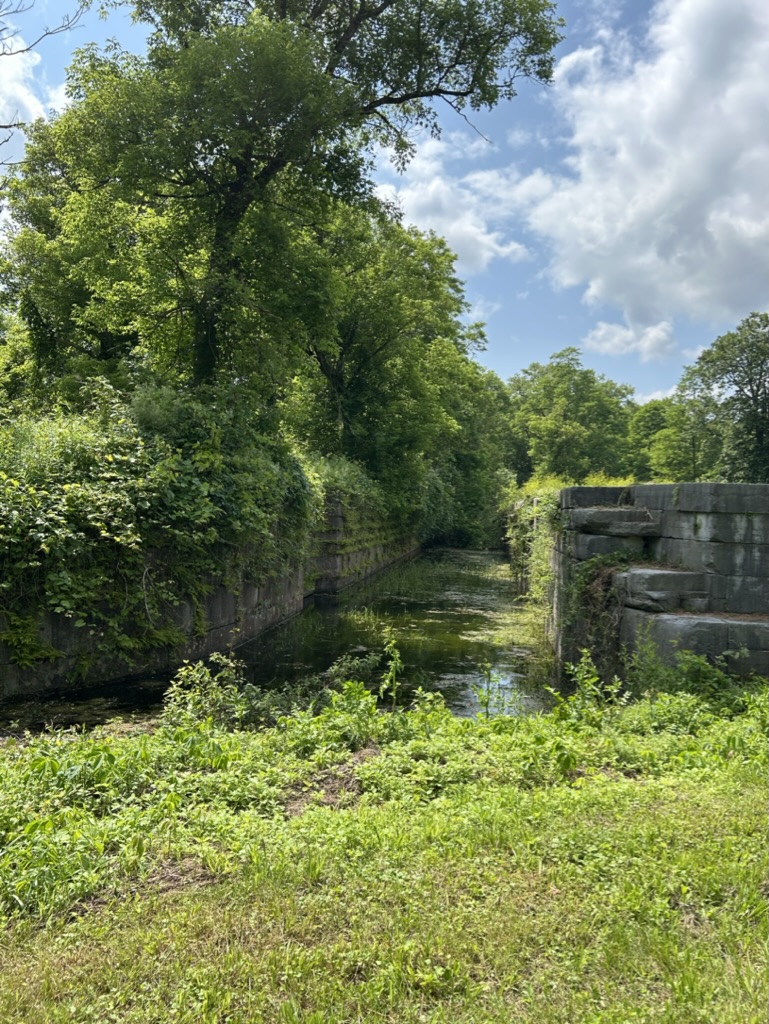 One side of an unused lock, with tall trees on one side and the center stone divider on the other