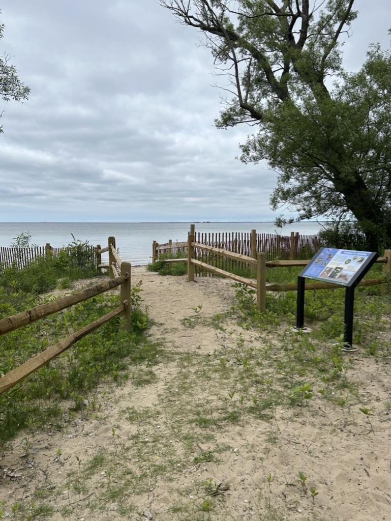 A sandy path enclosed by a low wooden rail fence leads out to a beach.