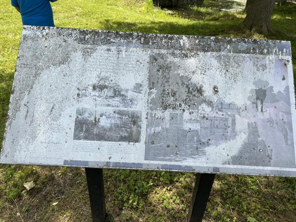 A sign so faded and moss-covered that it is unreadable