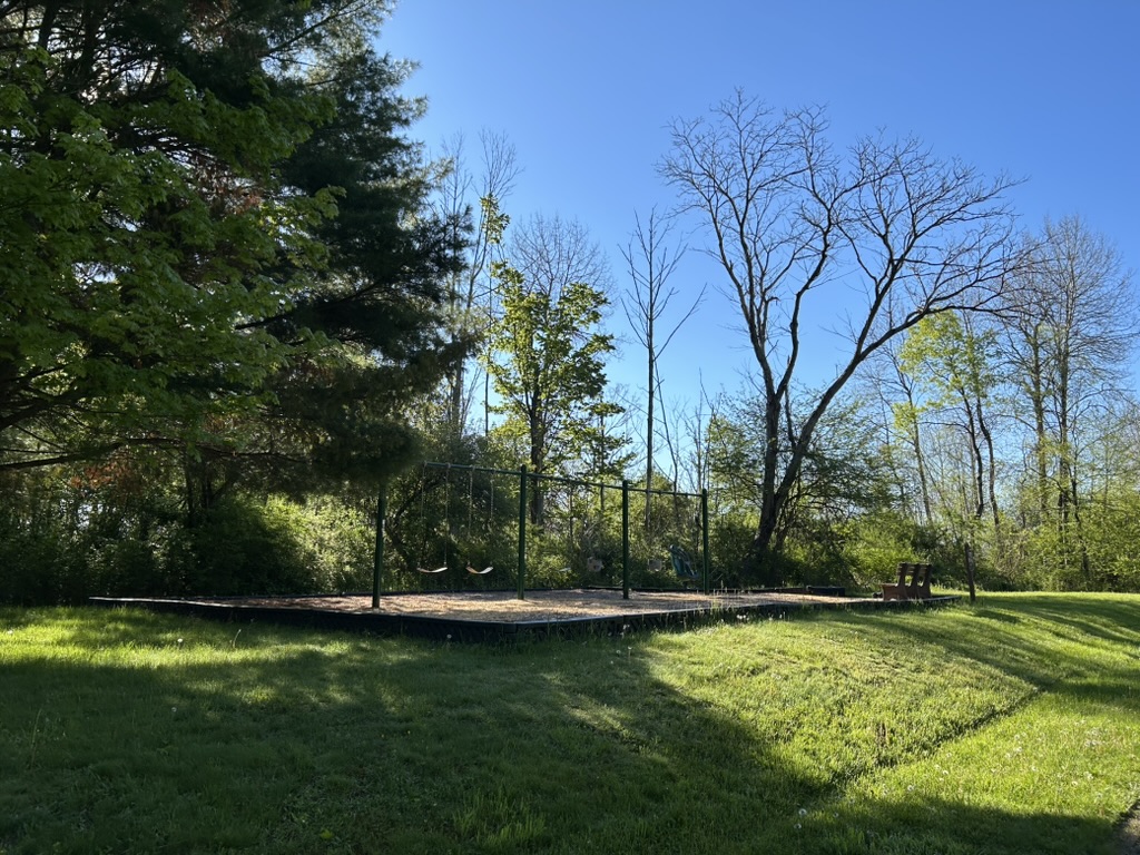 Playground at the campground, with a swing set with six swings at various heights, including one infant seat with straps. It's on a flat sandy pad and has a bench in front. There are trees behind and at the side.