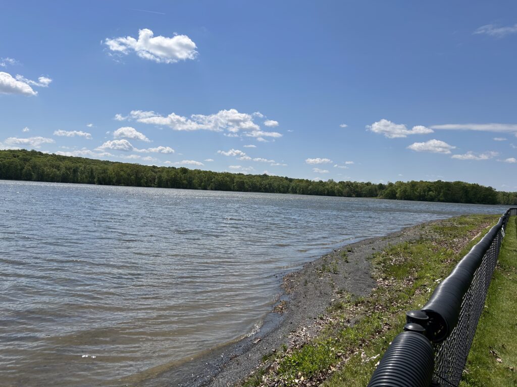 A view of Pinchot Lake, with a strip of narrow, fenced-in shoreline on the right, trees on the far shore in the distance, and a blue sky with a few puffy white clouds