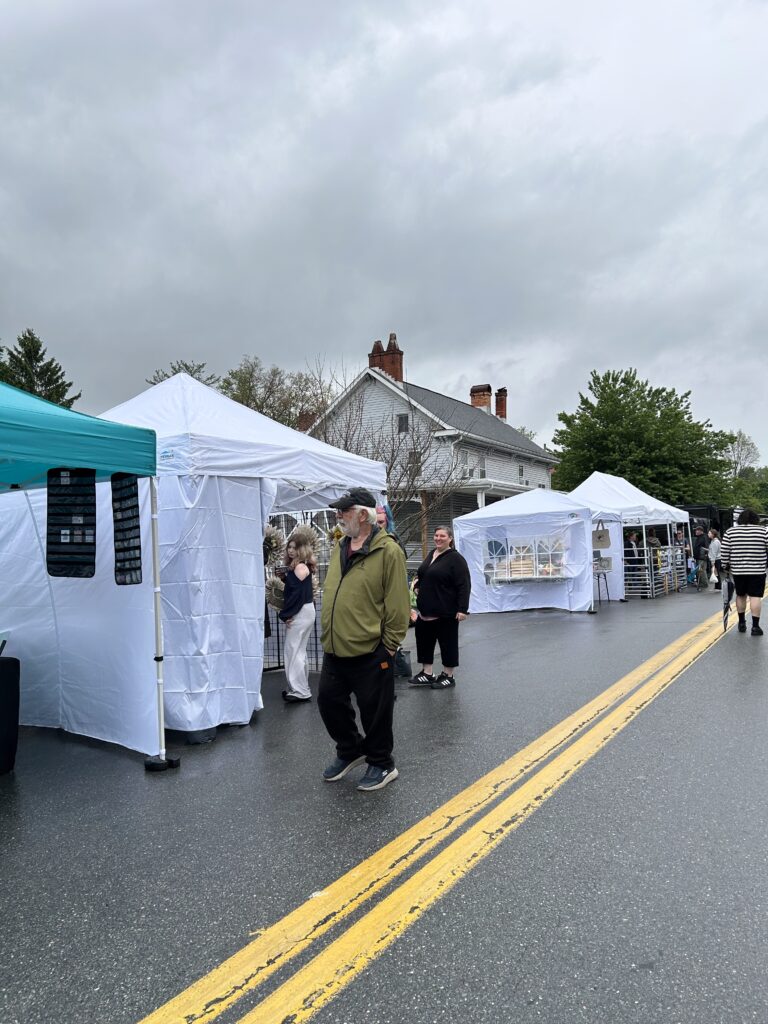 Visitors walk along booths at a street fair