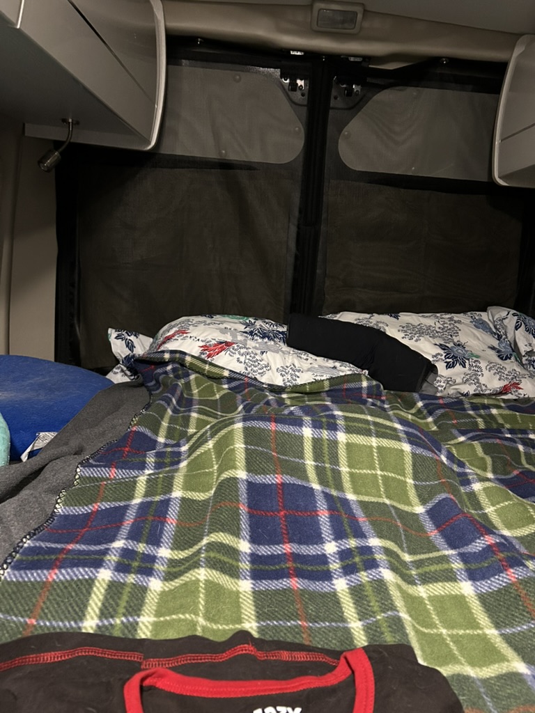 The bed in a camper van. There are two pillows at the back, and a plaid blanket with a suspiciously cat-shaped lump under it
