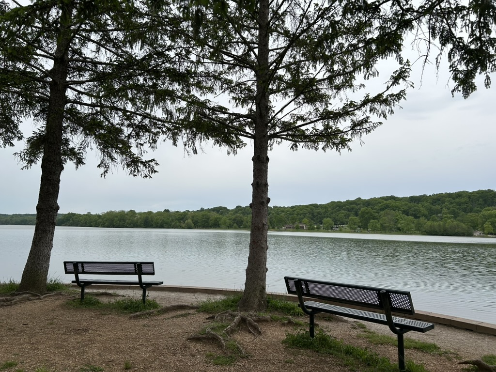 Two benches under some trees on the shore looking out over a calm lake