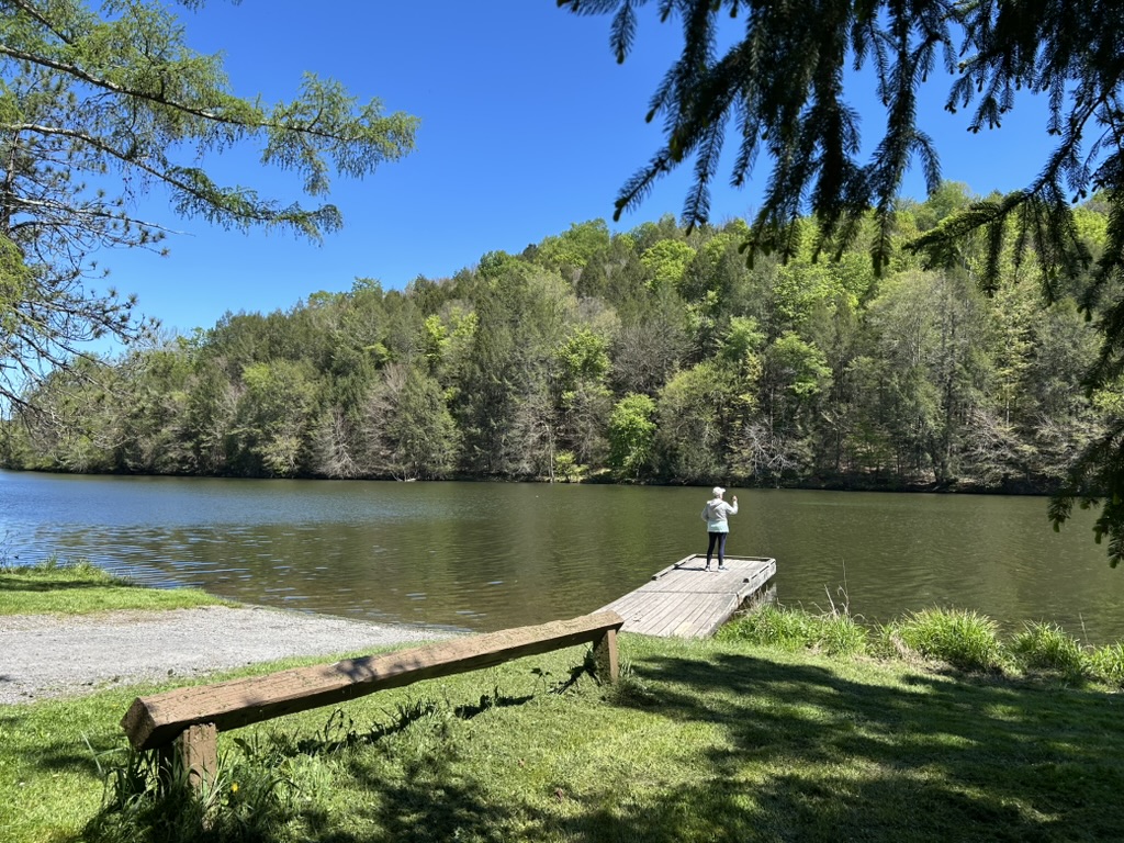 Fishing dock and boat launch at Bullshead Bay. A woman stands at the end of the dock taking pictures of the calm green water and tree-covered hillside on the opposite shore