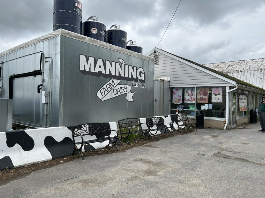 Manning Farm Dairy, with a large metal refrigerated building on the left and the ice cream store behind it. Along the front of the buildings are some concrete barriers painted like black and white cows, and some wrought iron benches.